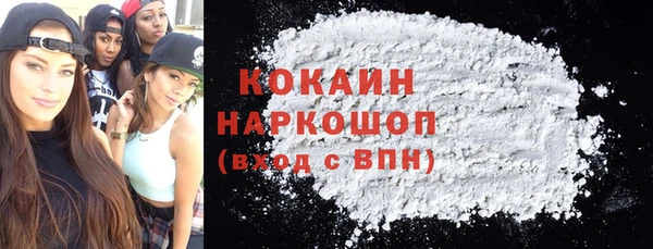хмурый Алексин