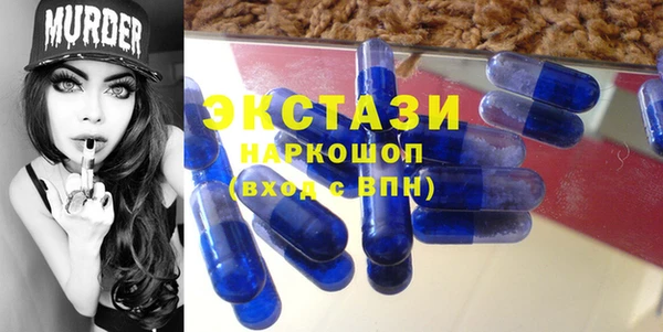 хмурый Алексин