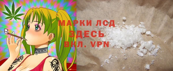 хмурый Алексин