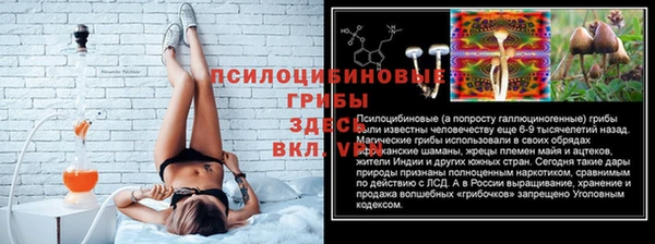 ALPHA PVP Алзамай