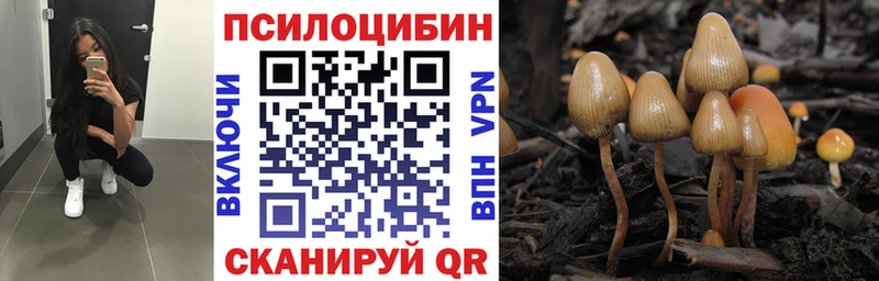 Галлюциногенные грибы MAGIC MUSHROOMS Киселёвск